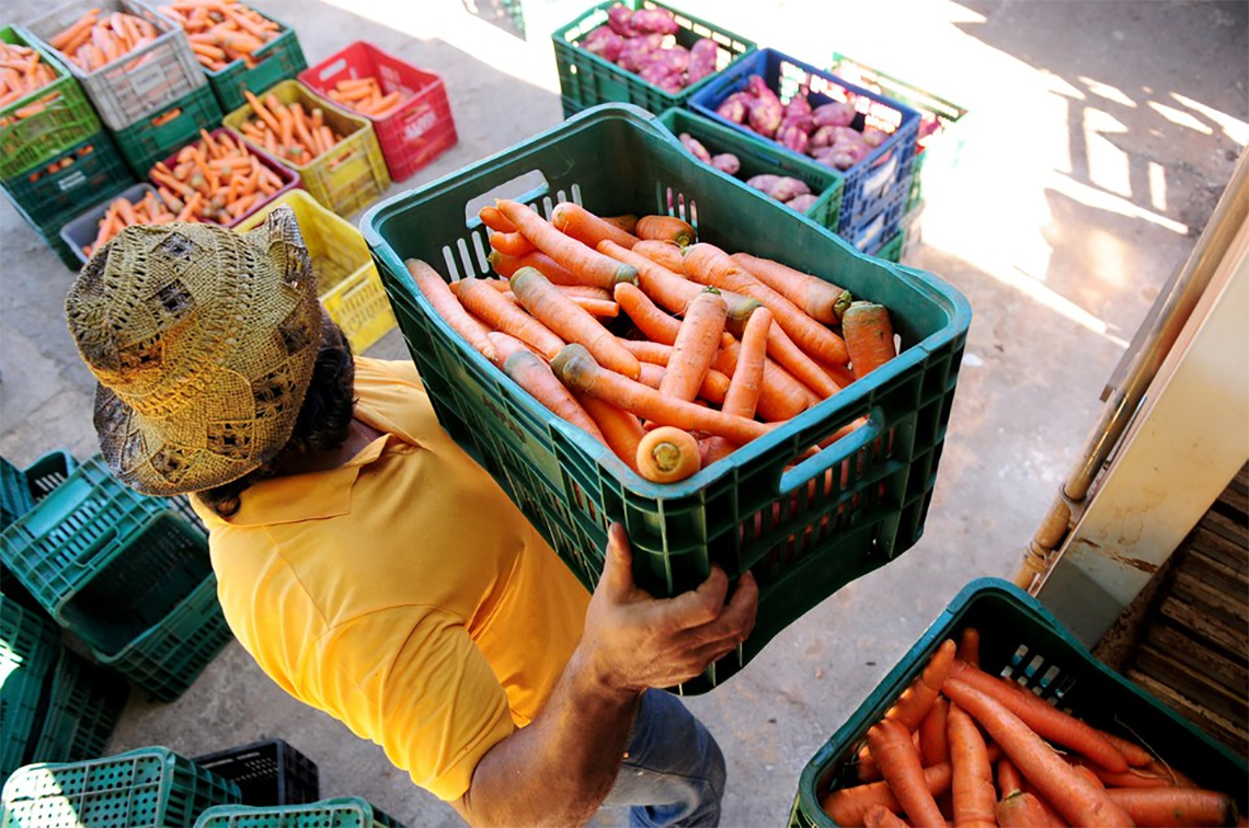 Cooperativas vão continuar a contribuir com o Programa de Aquisição de Alimentos