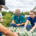 Voluntários do Sicredi se reúnem para construção de cozinha comunitária em Curitiba Foto: Lucas Fermin/SEED