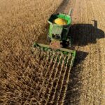 Voluntários do Sicredi se reúnem para construção de cozinha comunitária em Curitiba Levantamento da CNseg aponta aumento na procura por seguro rural