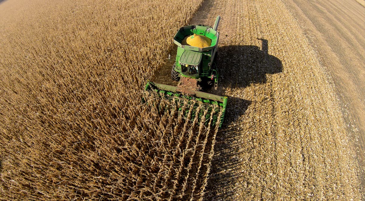 Levantamento da CNseg aponta aumento na procura por seguro rural Levantamento da CNseg aponta aumento na procura por seguro rural