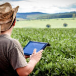 Campo conectado: Supercampo.com plataforma que facilita o dia a dia do agricultor