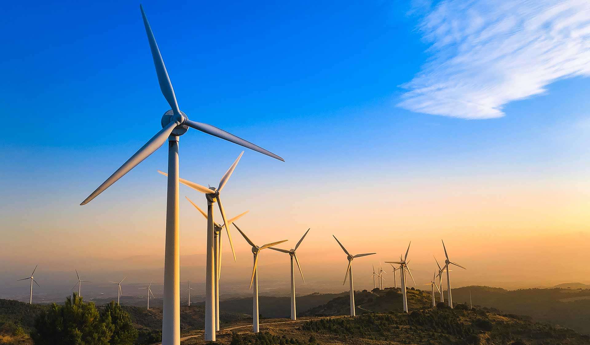 Primeira cooperativa de energia compartilhada do Brasil cresce 200% no primeiro semestre