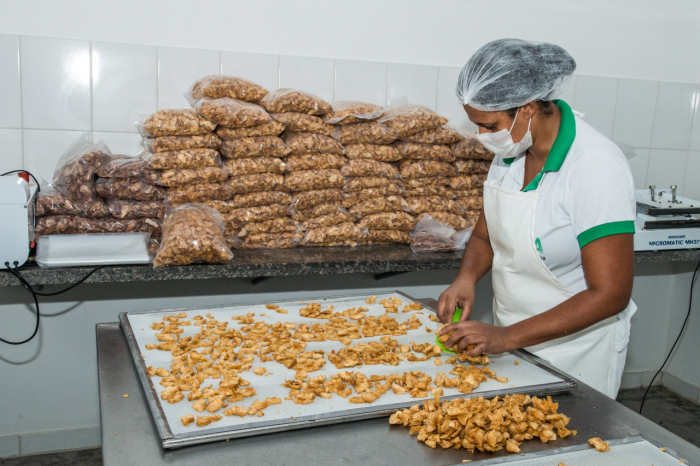 Cooperativismo da Bahia registrou um faturamento de R$ 7,5 bi em 2022