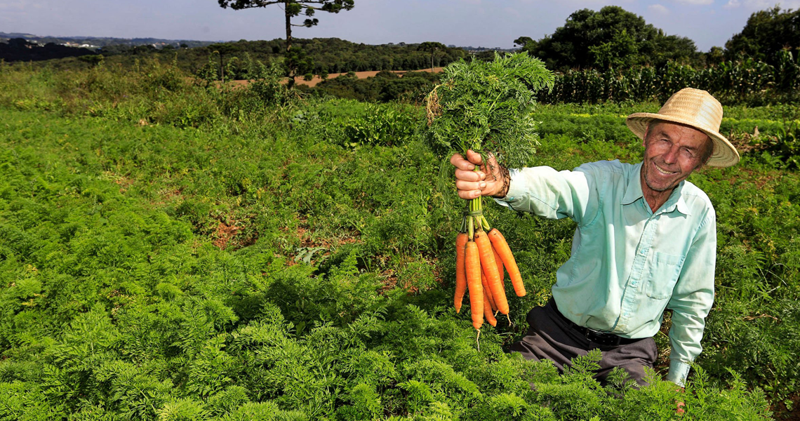 Cooperativas do ES fornecem itens da agricultura familiar para cidades de SP