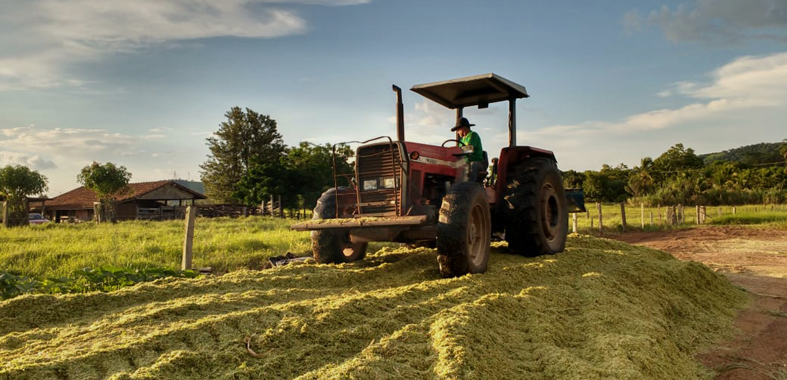 Cooperativas vão responder por mais da metade do crédito rural no Paraná