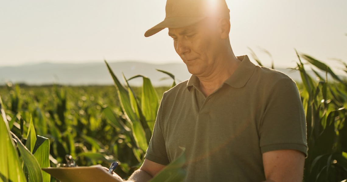 Bancos e cooperativas injetam dinheiro na onda verde do agro do ES