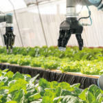 Edital do Agro 4.0 vai disponibilizar R$ 375 mil para cada selecionado