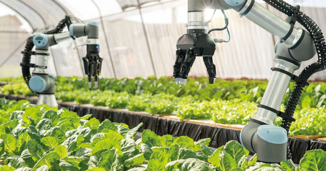 Edital do Agro 4.0 vai disponibilizar R$ 375 mil para cada selecionado