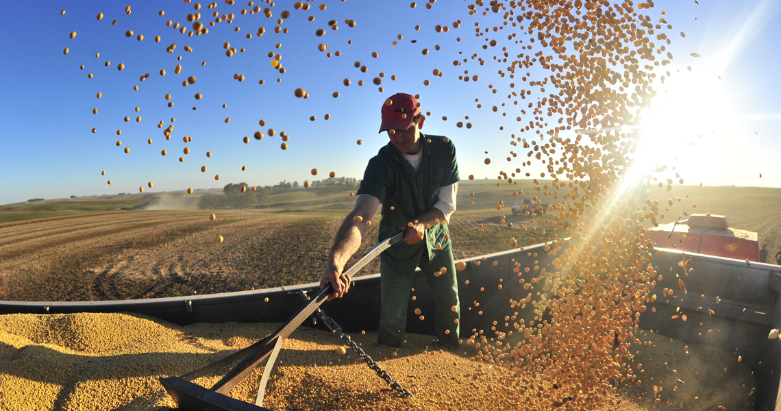 Valor Bruto da Produção Agropecuária de 2023 é atualizado em R$ 1,135 trilhão