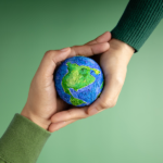 Cooperativa lança seu terceiro Relatório de Sustentabilidade