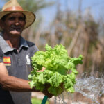 Município fomenta a agricultura familiar através de cooperativa