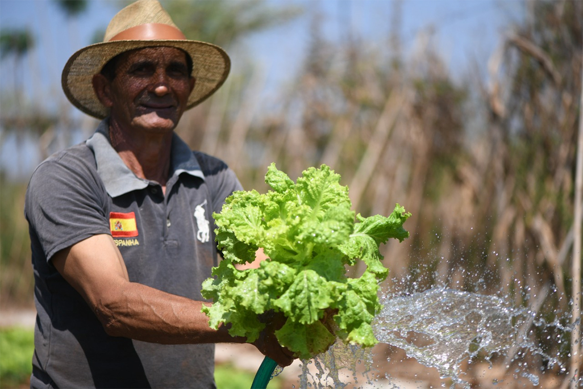 Município fomenta a agricultura familiar através de cooperativa