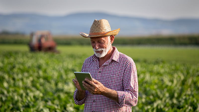 Diversificar estratégias de comunicação é via principal para chegar ao produtor Diversificar estratégias de comunicação é via principal para chegar ao produtor
