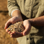 Ecoinovação: Copagril adota tecnologia inédita no Brasil para transformar resíduos de grãos em eficiência energética