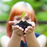 Cooperativa recebe prêmio internacional por emissão de título sustentável