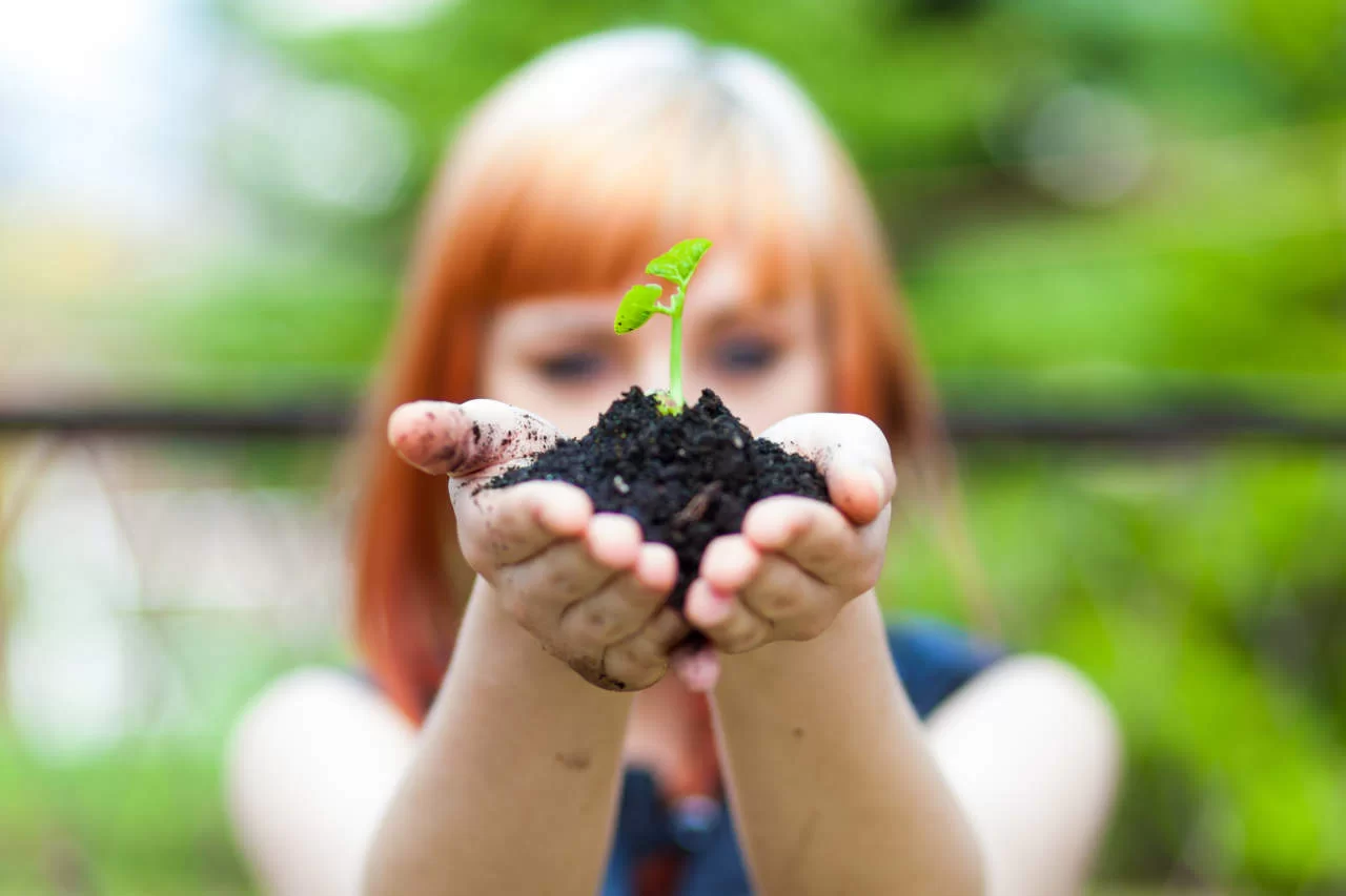 Cooperativa recebe prêmio internacional por emissão de título sustentável