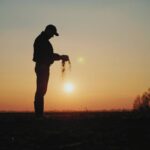 Agricultura intensiva e extensiva: diferenças entre os conceitos