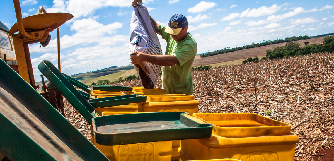 Indústria de fertilizantes é responsável por 15% do PIB de insumos e 6% da agropecuária