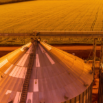 Cooperativas agro faturam R$157 bilhões mundialmente; saiba quais são as maiores