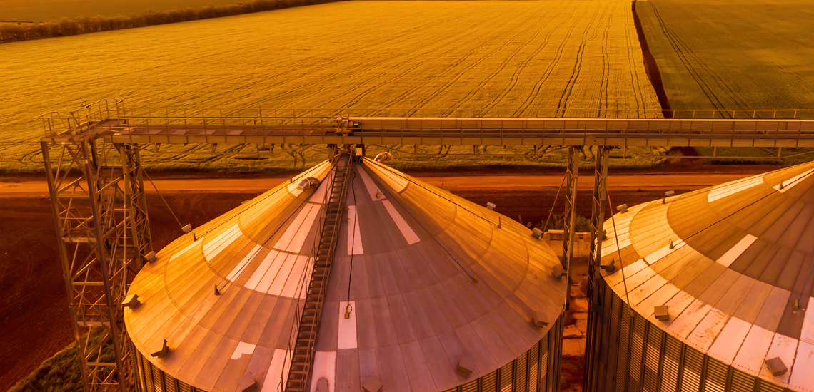 Cooperativas agro faturam R$157 bilhões ao redor do mundo; conheça as maiores Cooperativas agro faturam R$157 bilhões mundialmente; saiba quais são as maiores