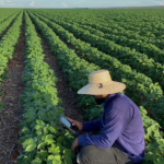 Com grande expectativa de público, ABFintechs realiza o Fintouch 2023 Cooperativas e agroindústrias devem pedir revisão do PRR do Funrural