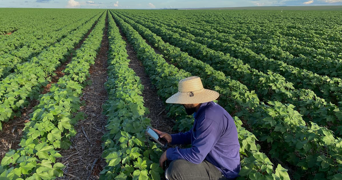 Cooperativas e agroindústrias devem pedir revisão do PRR do Funrural