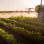 Atuação das cooperativas fortalece mercado brasileiro de insumos