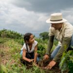 Tecnologia e diversificação impulsionam coop da agricultura familiar
