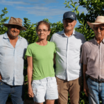 Cooperativa apoia cafeicultores para ampliar competitividade no mercado