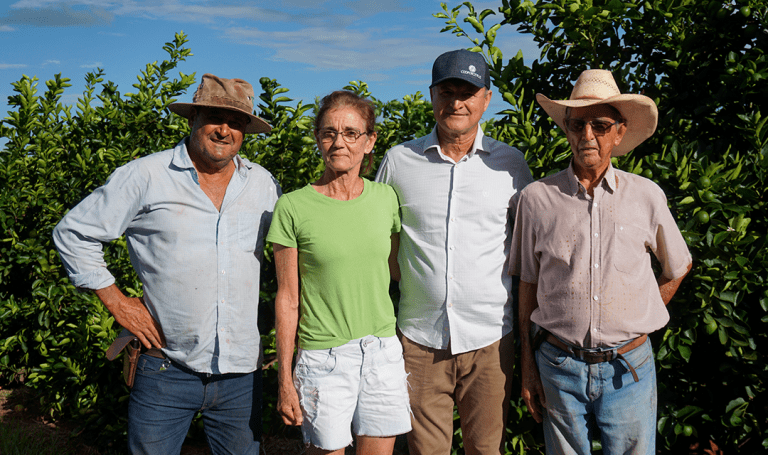 Cooperativa apoia cafeicultores para ampliar competitividade no mercado
