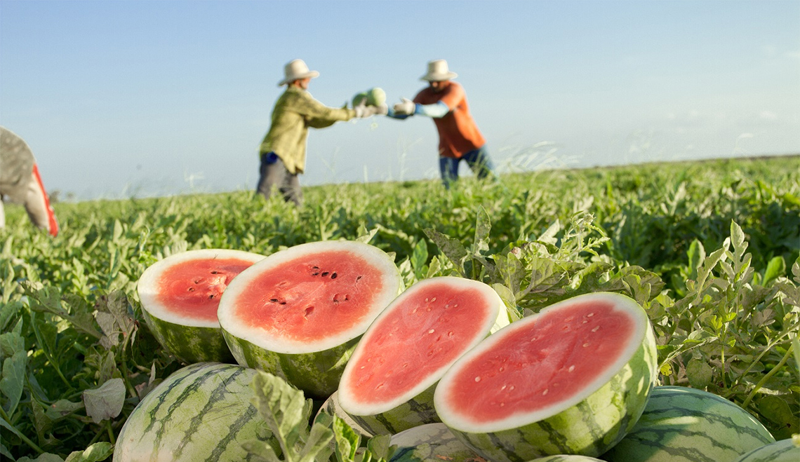 Sistema OCB/SESCOOP-PI realiza intercâmbio de cooperativas agropecuárias piauienses