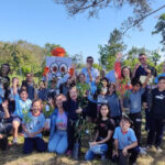 Em parceria com escolas, cooperativa incentiva plantio de mudas de árvores