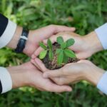 Cooperativa investe em economia verde e adota neutralização de carbono em seus eventos