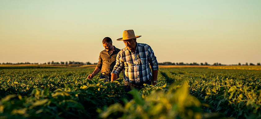 Cooperativa incentiva sucessão familiar e fortalece as futuras gerações a permanecerem no agro