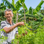 Núcleo de Cooperativismo e Associativismo fortalecerá ações do agronegócio no Amazonas