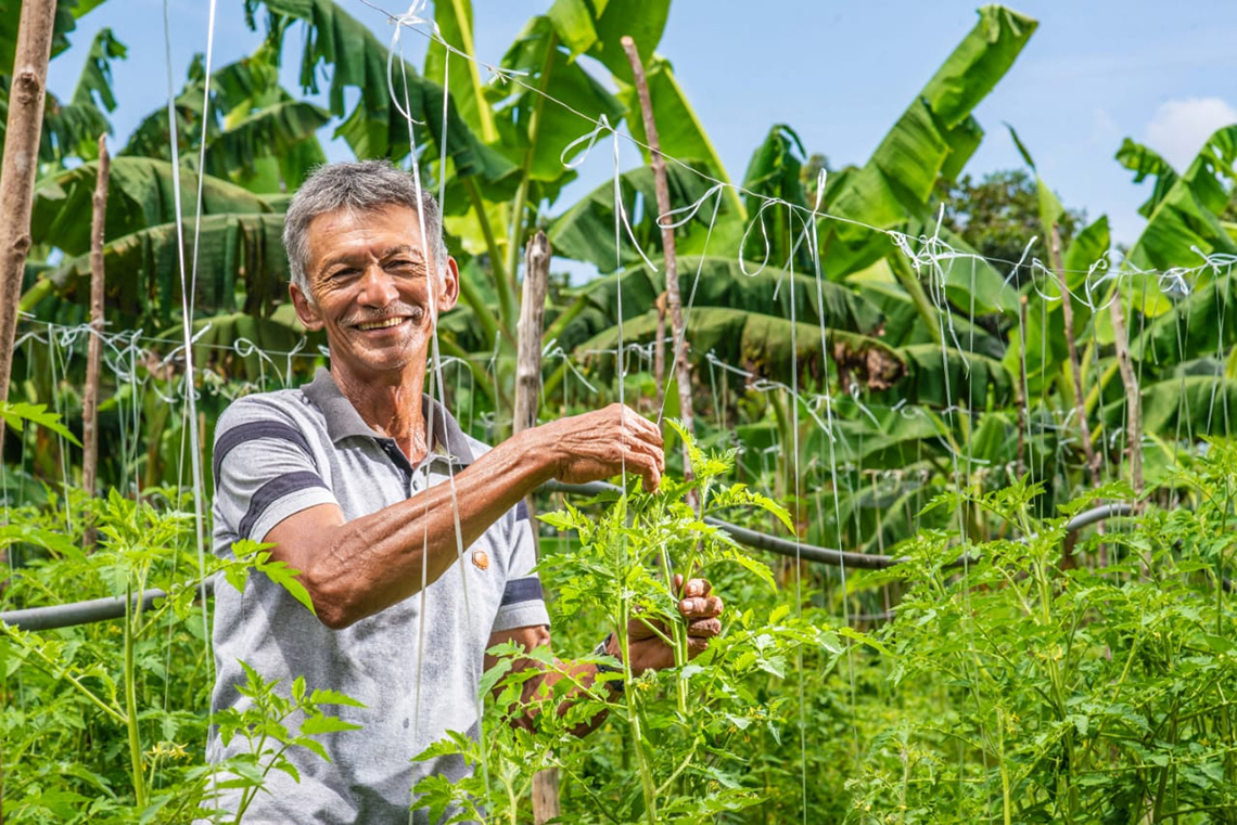Núcleo de Cooperativismo e Associativismo fortalecerá ações do agronegócio no Amazonas