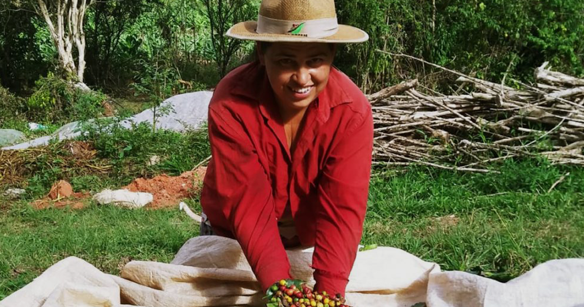 Cooperativa mineira é destaque por incentivar a participação das mulheres nos negócios Coop de café mineira é destaque por incentivar a participação das mulheres nos negócios