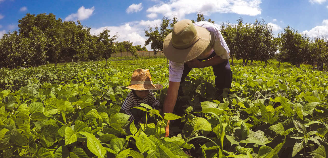Intercâmbio entre cooperativas do RS e SC busca fortalecimento da agricultura familiar