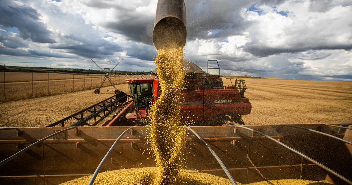 Cooperativismo atua como propulsor de exportações agrícolas