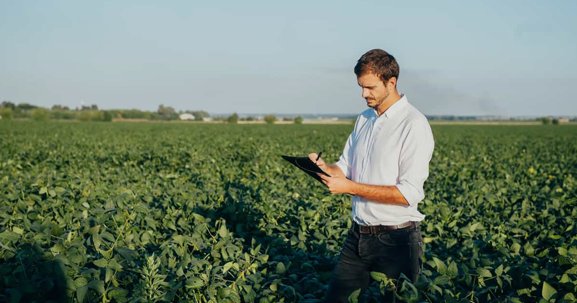 Como transformar pequenos negócios rurais em cooperativas?