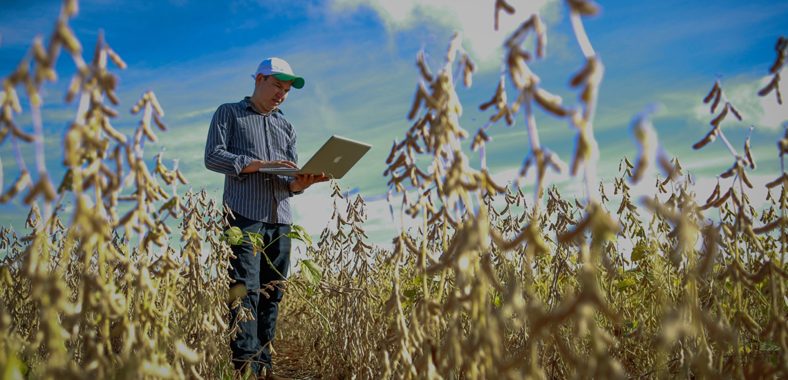 Pesquisa indica que digitalização pode ser aliada no acesso ao crédito rural