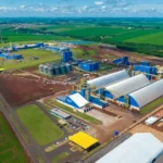 Imersão Pré-COP 28: participantes elogiam e compartilham experiências Cooperativa terá novo modelo de gestão para ampliar competitividade