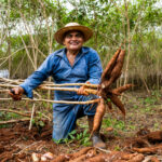 Cooperativa se torna ecossistema de transformação e ganha atenção da nova geração
