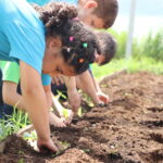 Programa Fundo Social do Sistema Ocergs conquista prêmio Top Cidadania