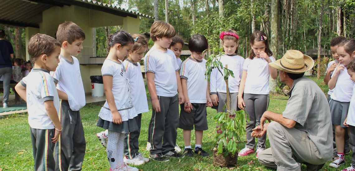ONGs e cooperativas vão receber 2 milhões para execução de projetos ambientais