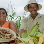 Governo do Ceará isenta ICMS de produtos de cooperativas da agricultura familiar