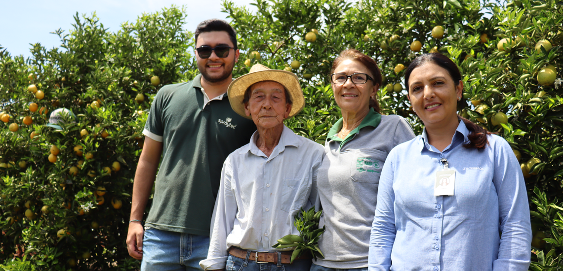 Cooperativa agropecuária lança campanha de combate ao greening Cooperativa agropecuária lança campanha de combate ao greening