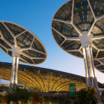 Cooperativas brasileiras vão à COP 28 com soluções de baixo carbono para sustentabilidade