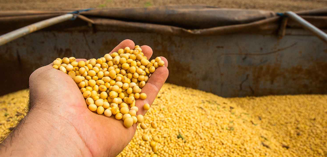 Cooperativa premia os campeões da safra de Soja 2022/2023, Milho e Trigo 2023/2023 Cooperativa premia os campeões da safra 2022/2023