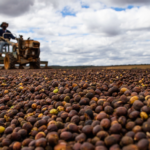 Cooperativa fica entre as 100 maiores do Agro 2023 da Forbes